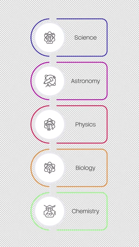 Education programs multicolor vertical linear timeline infographics animation 動画素材 331847087