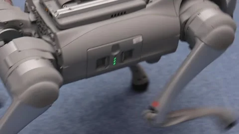Education Robot Dog Stock Footage 336791846