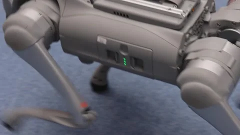 Education Robotic Dog Stock Footage 340328538