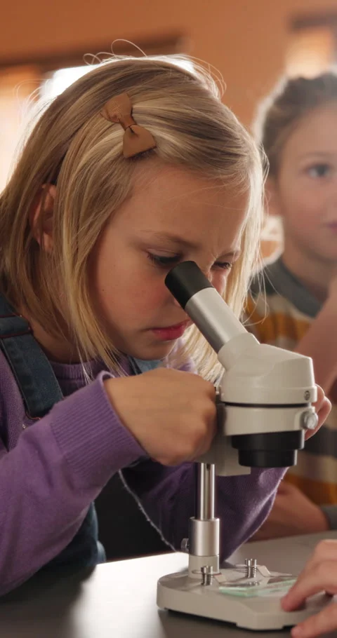 Education, science and child with microscope in class for development, knowledge Stock Footage 335867577