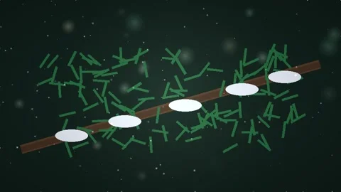 Educational 3D Animation of Plant Stem and Cells Science Background Video stock 347807995