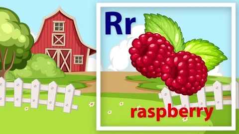 Educational Alphabet Animation Featuring Letter R and Raspberry Stock Footage 341643774