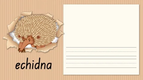 Educational Alphabet Animation for Letter E with Echidna Illustration Stock Footage 329658457