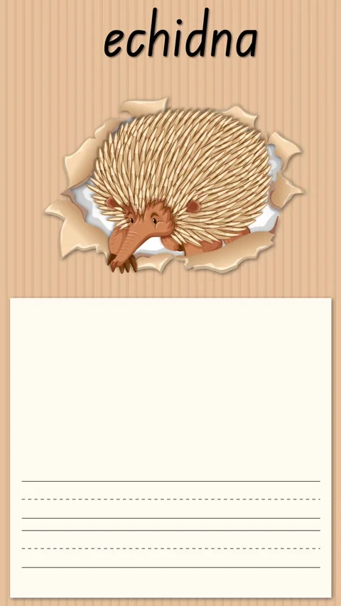Educational Alphabet Animation for Letter E with Echidna Illustration Stock Footage 329658461