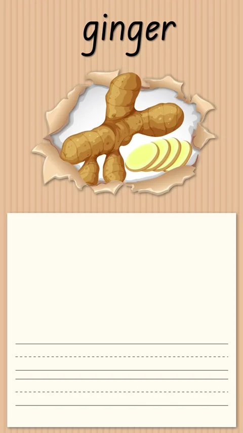 Educational Alphabet Animation for Letter G with Ginger Root Illustration Stock Footage 332964376