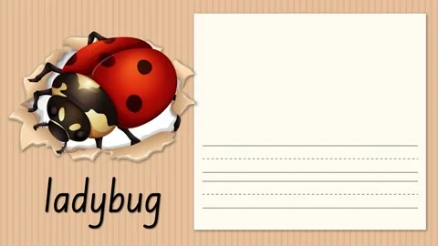 Educational Alphabet Animation for Letter L with Ladybug Illustration Stock Footage 330638248