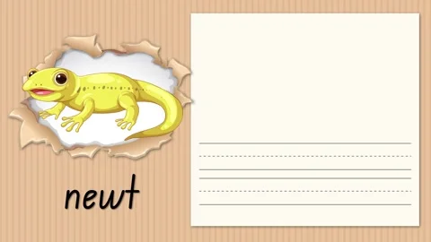 Educational Alphabet Animation for Letter N with a Yellow Newt Stock Footage 331345243