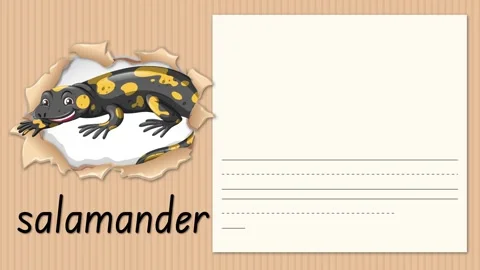 Educational Alphabet Animation for Letter S with a Spotted Salamander Stock Footage 330448434