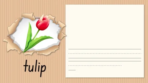 Educational Alphabet Animation for Letter T with Red Tulip Illustration Stock Footage 330448409