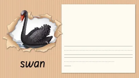 Educational Alphabet Animation Teaching the Letter S with a Black Swan Stock Footage 330638359
