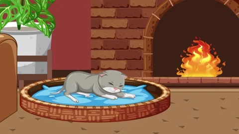 Educational animation showing life cycle of cat from newborn kitten to adul.. Video stock 333490127