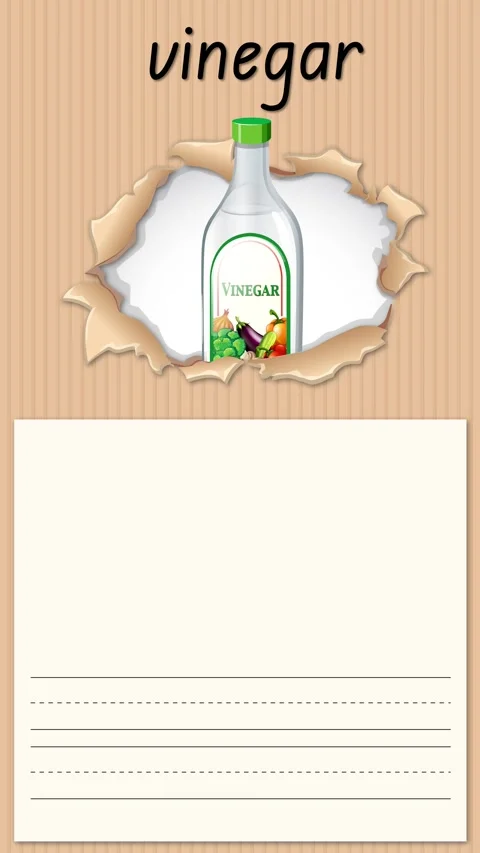 Educational Animation Teaching the Letter V with Vinegar Illustration 動画素材 341719428