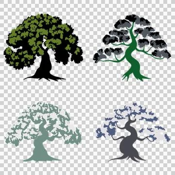 Educational botany demonstrating diverse tree silhouettes and morphology Stock Illustration