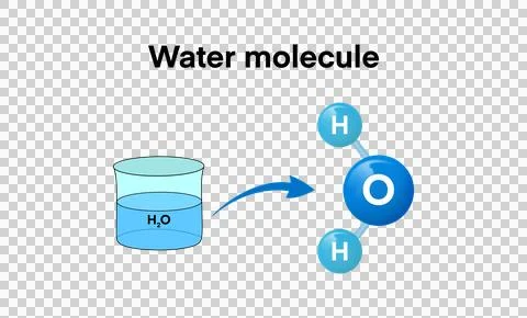 Educational diagram shows the molecular structure of water 스톡 일러스트