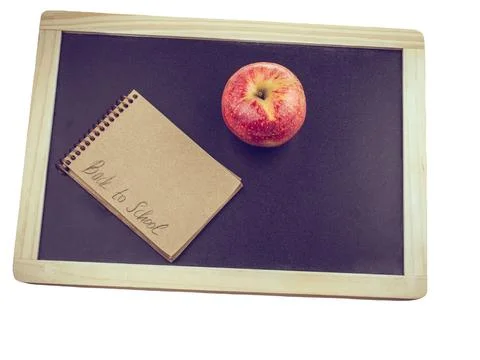 Educational elements for student learning study isolated on white background. Stock Photos