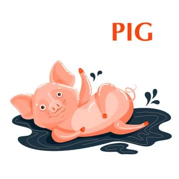 Educational flashcard pig sporting in a mud puddle Stock Illustration