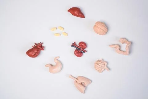 An educational flat lay layout featuring a comprehensive collection of mini.. Stock Photos