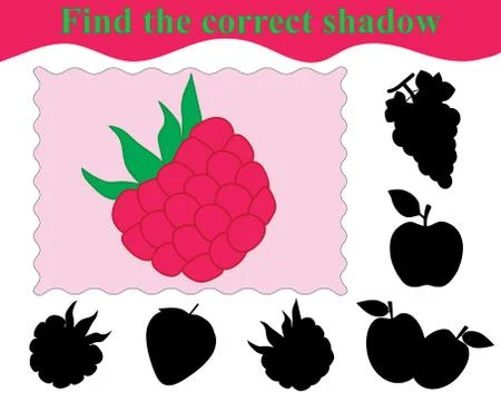 Educational game for children. Find the correct shadow of raspberry. Vector i Stock Illustration