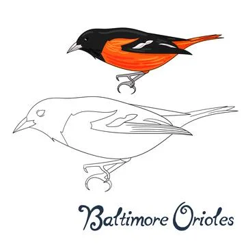 Educational game coloring book bird Stock Illustration