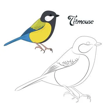 Educational game coloring book bird vector Stock Illustration