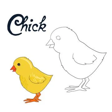 Educational game coloring book chick bird Stock Illustration