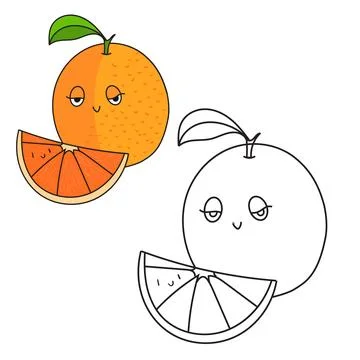 Educational game coloring book orange fruit vector Stock Illustration