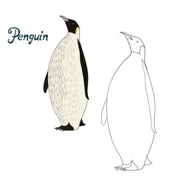 Educational game coloring book penguin bird vector Stock Illustration
