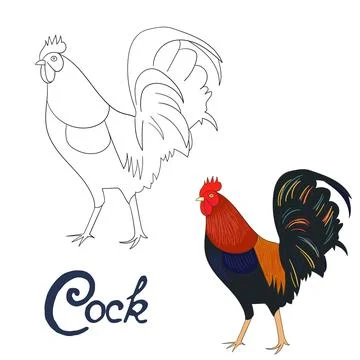 Educational game coloring book rooster bird vector Stock Illustration
