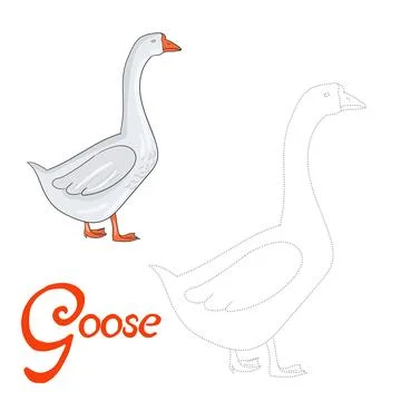 Educational game connect dots to draw goose bird Stock Illustration