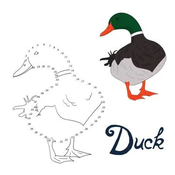 Educational game connect dots to draw duck bird Illustrazione stock