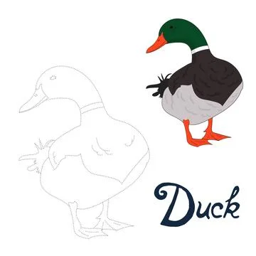 Educational game connect dots to draw duck bird Stock Illustration