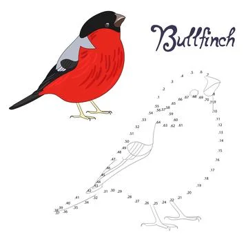 Educational game connect the dots to draw bird Stock Illustration