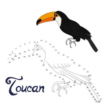 Educational game connect dots to draw toucan bird Stock Illustration