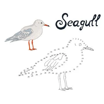 Educational game connect dots to draw seagull bird Stock Illustration