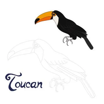 Educational game connect dots to draw toucan bird Stock Illustration