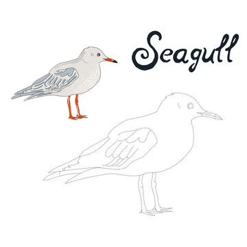 Educational game connect dots draw seagull bird Stock Illustration