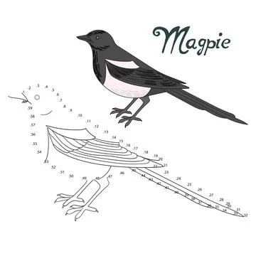 Educational game connect dots to draw magpie bird Stock Illustration