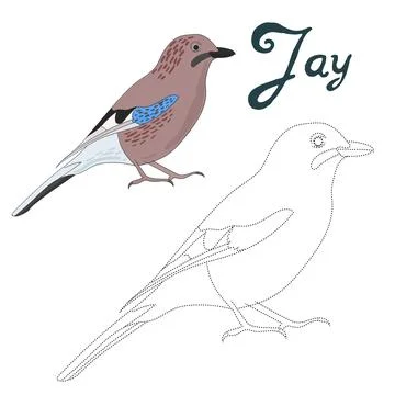 Educational game connect dots to draw jay bird Stock Illustration