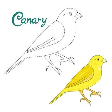 Educational game connect dots to draw canary bird Stock Illustration
