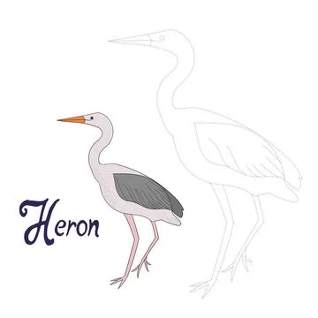 Educational game connect dots to draw heron bird Stock Illustration