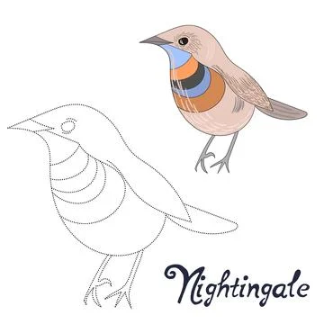Educational game connect dots draw nightingale Stock Illustration