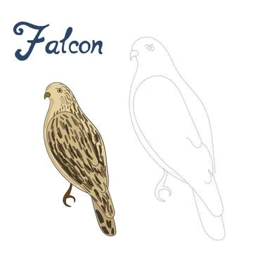 Educational game connect dots to draw falcon bird Stock Illustration