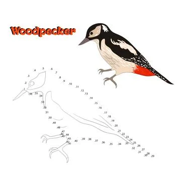 Educational game connect the dots to draw bird Stock Illustration