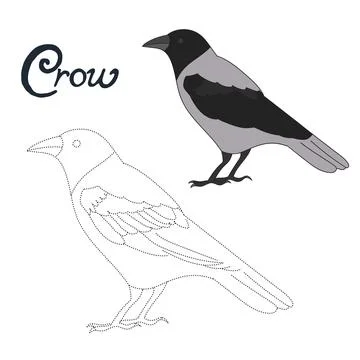 Educational game connect dots to draw crow bird Stock Illustration