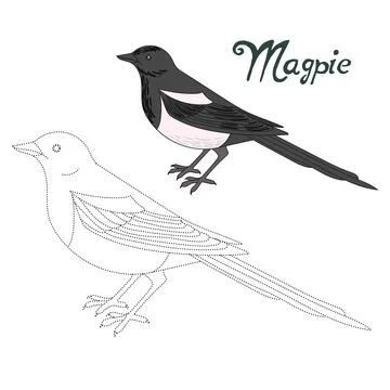 Educational game connect dots to draw magpie bird Stock Illustration