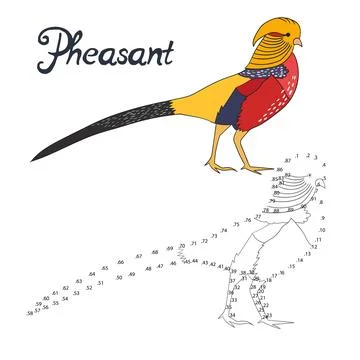 Educational game connect dots draw pheasant bird Stock Illustration