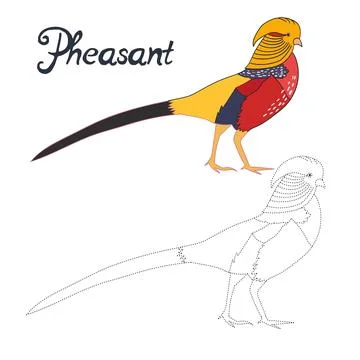 Educational game connect dots draw pheasant bird Stock Illustration