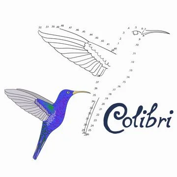 Educational game connect dots to draw colibri bird Stock Illustration