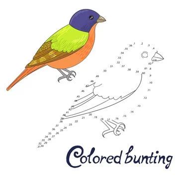 Educational game connect dots to draw bird Stock Illustration