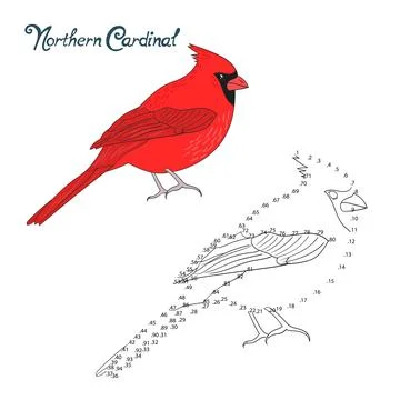Educational game connect dots draw cardinal bird Stock Illustration